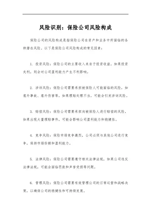 风险识别：保险公司风险构成