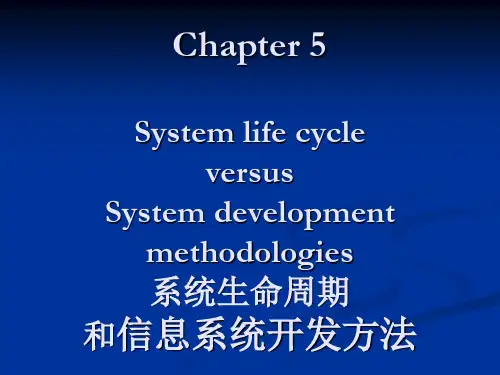 chapter5 Information systems development