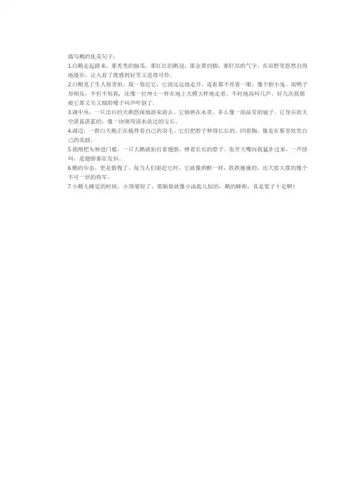 描写鹅的优美句子
