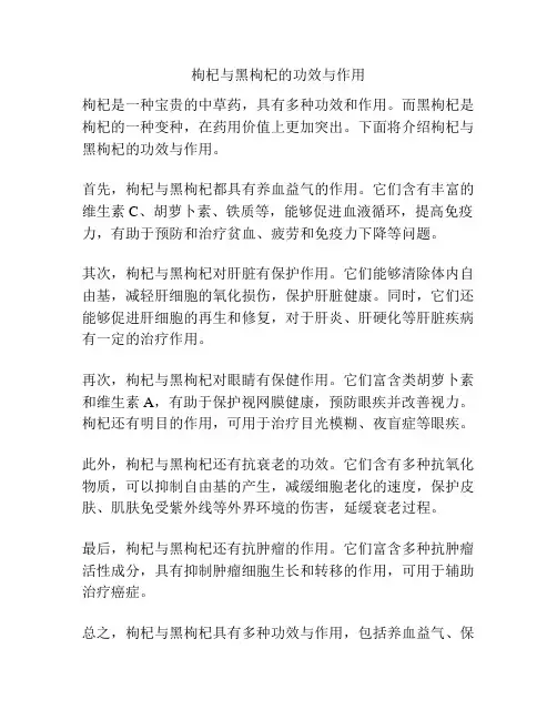 枸杞与黑枸杞的功效与作用
