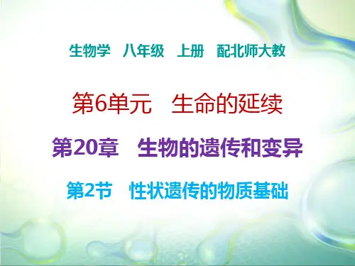 新北师大版(广东)八上生物课件： 第20章 第2节 性状遗传的物质基础(共23张PPT)