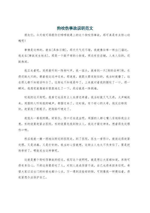 狗咬伤事故说明范文