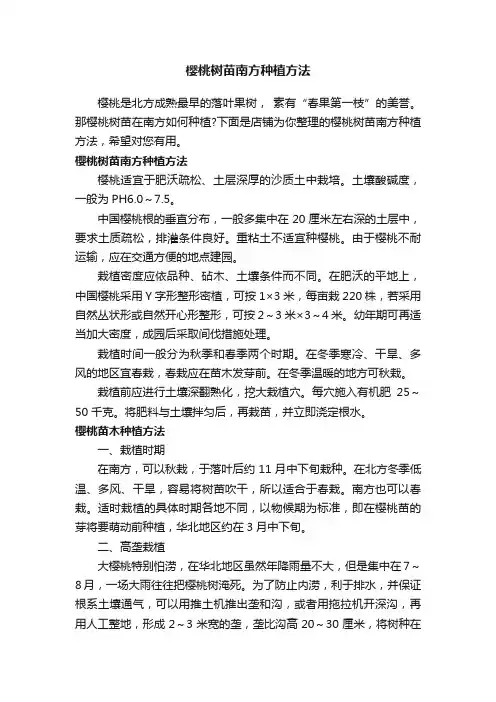 樱桃树苗南方种植方法