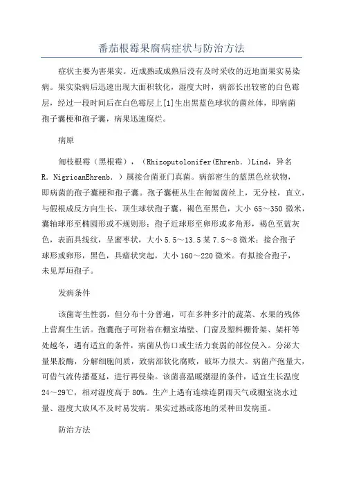 番茄根霉果腐病症状与防治方法