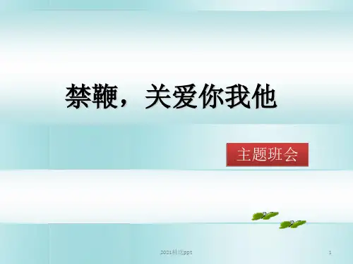 小手拉大手禁燃烟花爆竹主题班会ppt课件