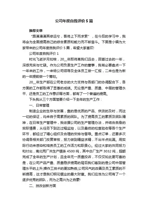 公司年度自我评价5篇