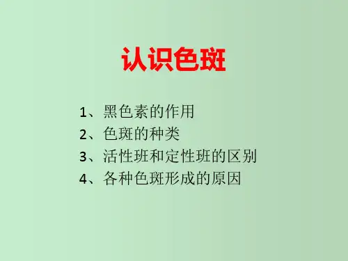 色斑介绍 各种色斑的认识 教学PPT课件