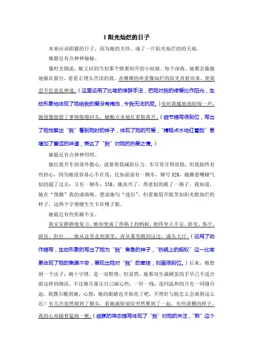 《阳光灿烂的日子》作文及点评