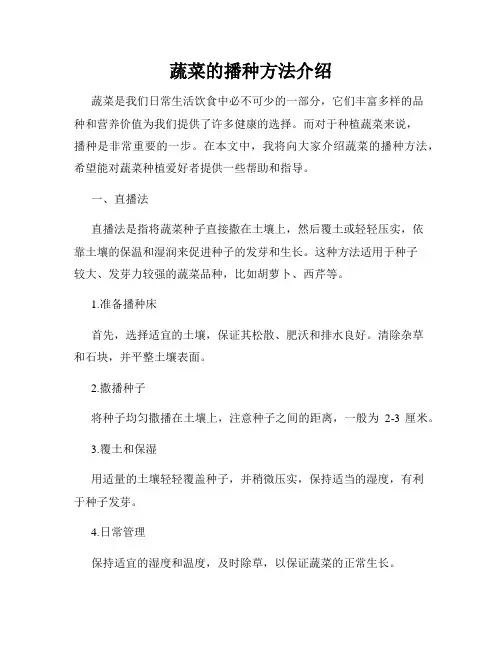 蔬菜的播种方法介绍