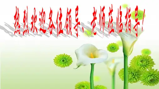 高中数学新教材《1.1 集合的概念》公开课优秀课件(好用)