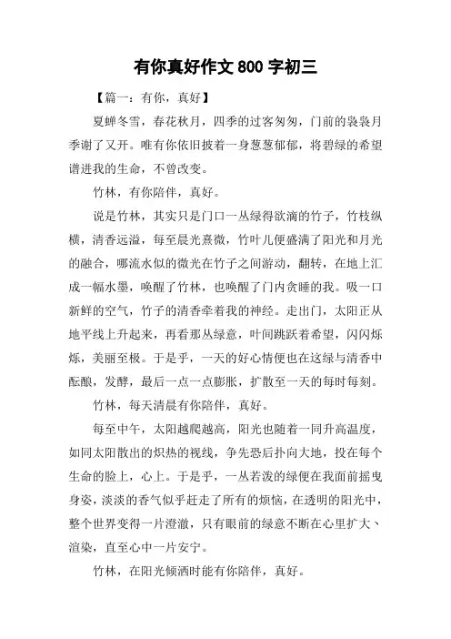 有你真好作文800字初三