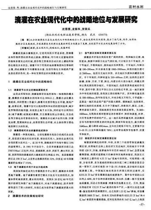 滴灌在农业现代化中的战略地位与发展研究