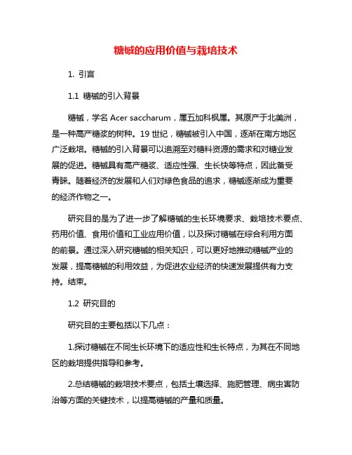 糖槭的应用价值与栽培技术