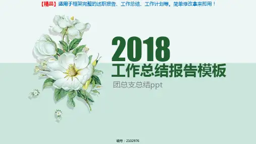 团总支总结ppt【原创PPT模板】