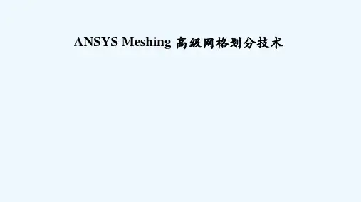 ANSYS Meshing 高级网格划分技术 PPT