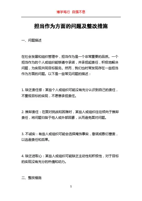 担当作为方面的问题及整改措施