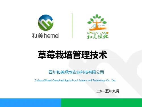 草莓栽培技术PPT课件
