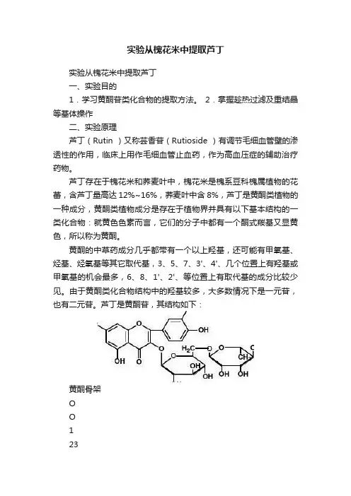 实验从槐花米中提取芦丁