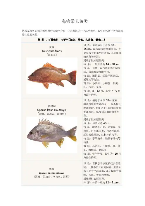 海钓常见鱼类