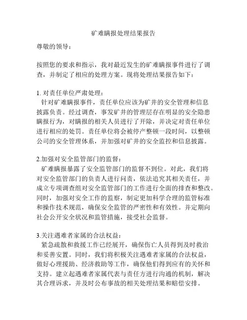 矿难瞒报处理结果报告