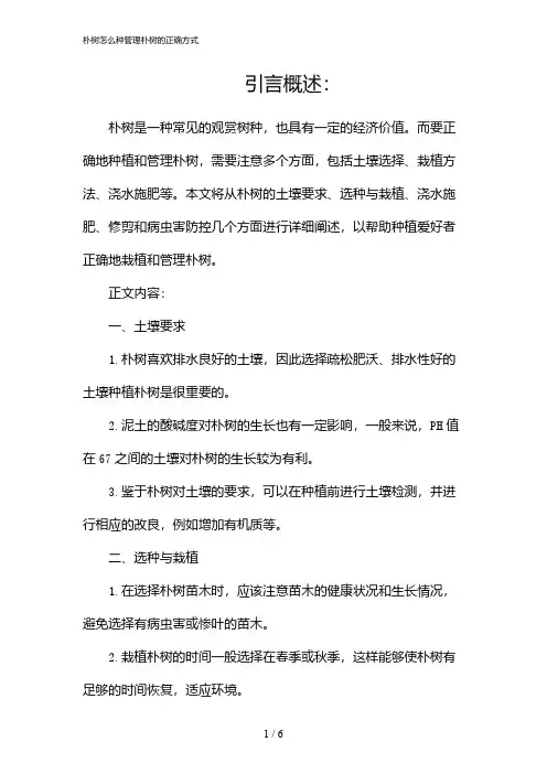 朴树怎么种管理朴树的正确方式