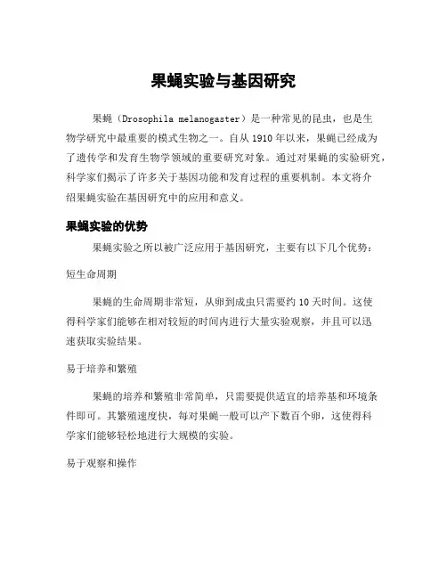 果蝇实验与基因研究