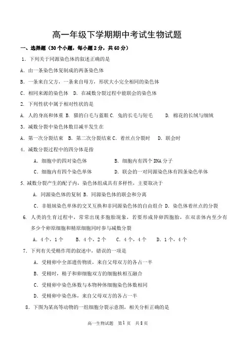 高一年级下学期期中考试生物试题及答案