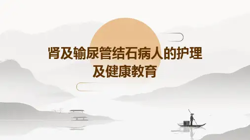 肾及输尿管结石病人的护理及健康教育