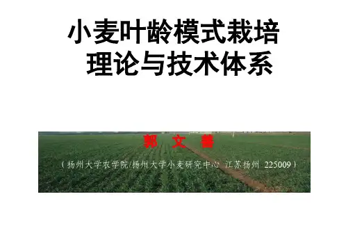 小麦叶龄模式栽培理论与技术体系---郭文善