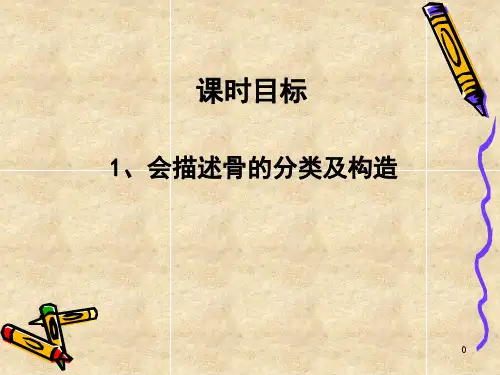 (正常人体结构学)第二章 运动系统-骨学