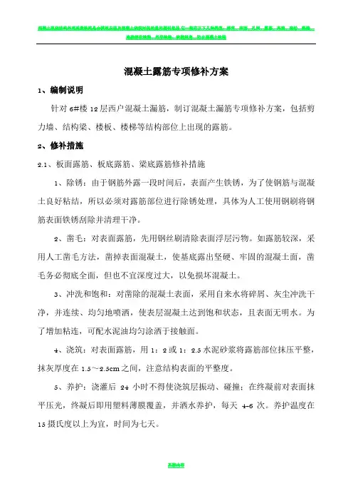 混凝土结构露筋专项修补方案20015