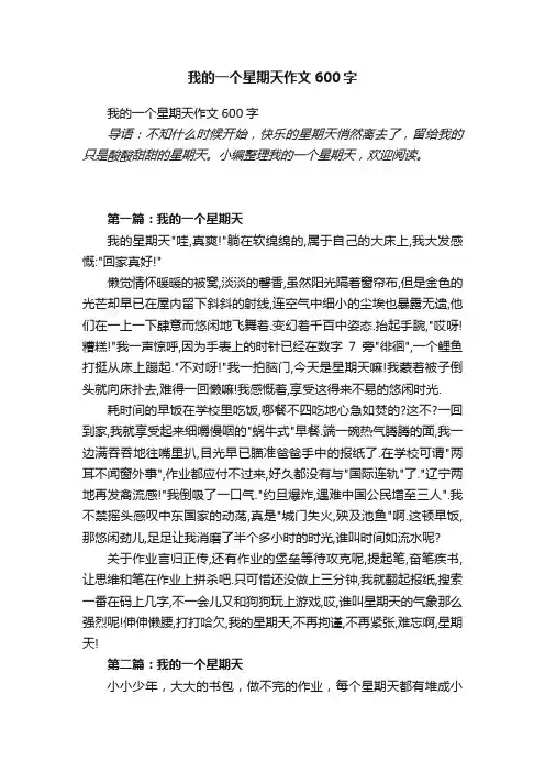 我的一个星期天作文600字