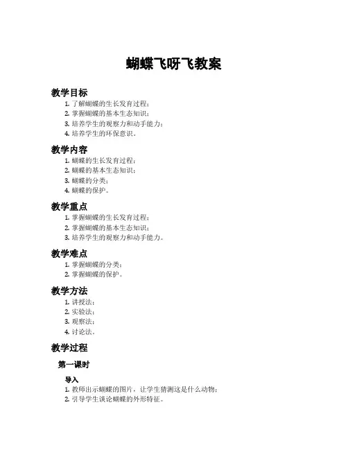 蝴蝶飞呀飞教案