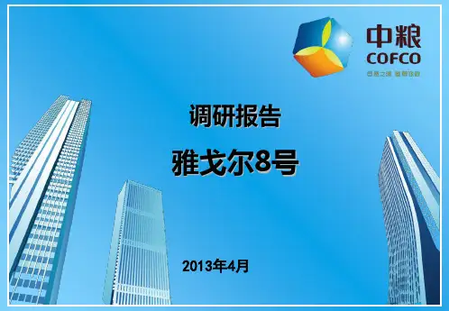 调研报告长风号 ppt课件