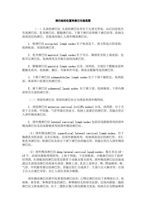 淋巴结的位置和淋巴引流范围