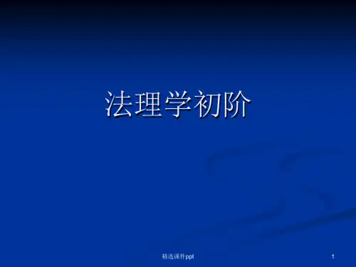 法理学初阶ppt课件