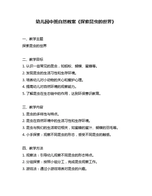 幼儿园中班自然教案《探索昆虫的世界》