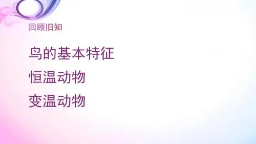 人教版八年级生物上册第五单元第一章第七节  哺乳动物 (共13张PPT)