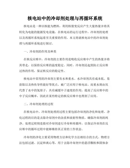 核电站中的冷却剂处理与再循环系统