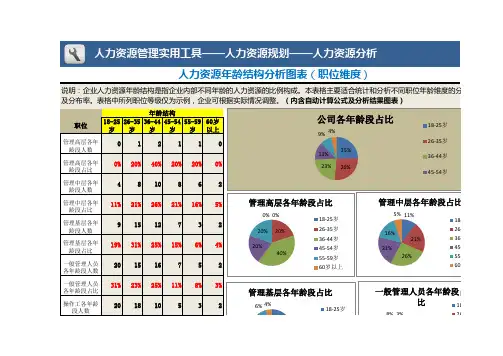 人力资源年龄结构分析图表