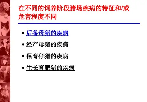 后备母猪的管理程序PPT课件