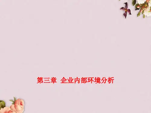 企业内部环境分析(ppt 41页)