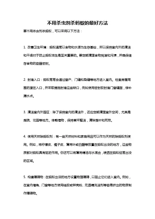 不用杀虫剂杀蚂蚁的最好方法