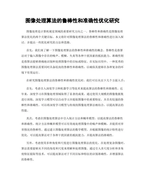 图像处理算法的鲁棒性和准确性优化研究