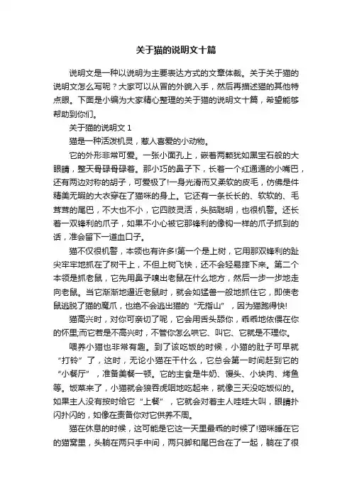 关于猫的说明文十篇