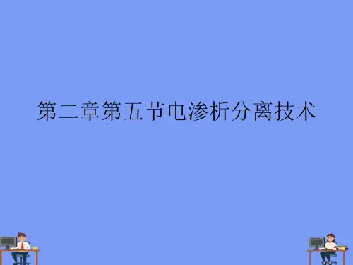 第五节电渗析分离技术.完美版PPT