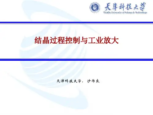 结晶过程控制与工业放大