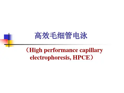第二章 高效毛细管电泳