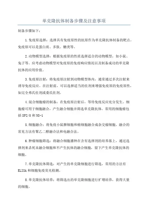 单克隆抗体制备步骤及注意事项