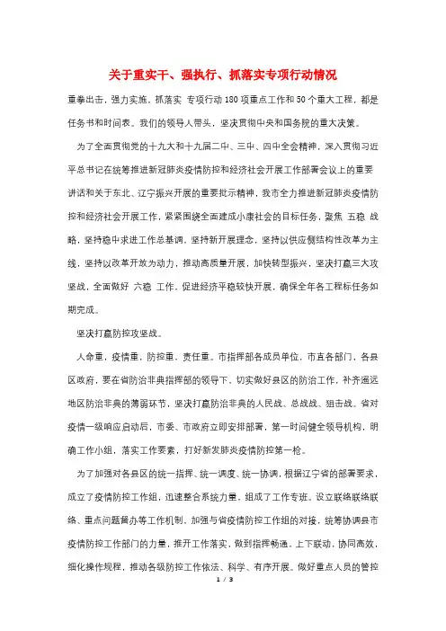 最新关于重实干、强执行、抓落实专项行动情况